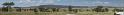 The Mighty Serengeti
